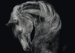Schmidt : Ashley Rader - Power, Horse - The Epitome of Strength (1000)
