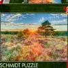 Schmidt : Assaf Frank - Sunset on the Heath (1000)