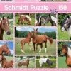 Schmidt : Beautiful Horses (150)