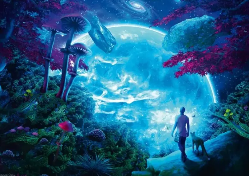 Schmidt : Cameron Gray - Celestial Sky (1000)