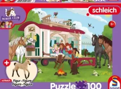 Schmidt : Campfire at the Caravan (100)