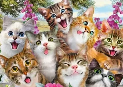 Schmidt : Cat Selfie (500)
