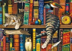 Schmidt : Charles Wysocki - Frederick the Literate (1000)