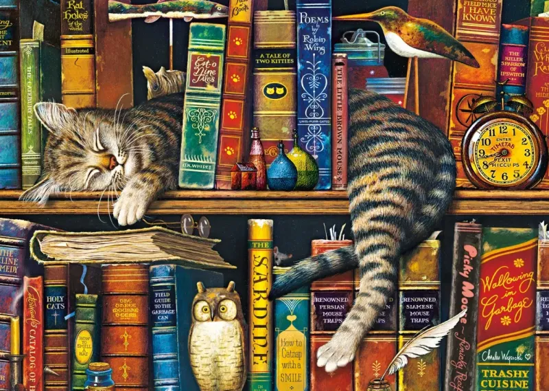 Schmidt : Charles Wysocki - Frederick the Literate (1000)