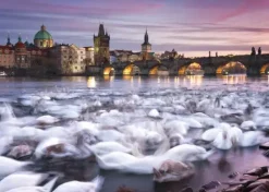 Schmidt : Christian Ringer, Prague - Swans (1000)