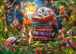 Schmidt : Ciro Marchetti - Bedtime Stories in the Woods (1000)