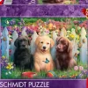 Schmidt : Cute Puppies Scene (1000)