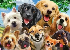 Schmidt : Dog Selfie (500)