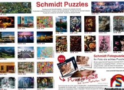 Schmidt : Dream in the Universe (1000)