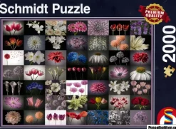 Schmidt : Floral Greeting (2000)
