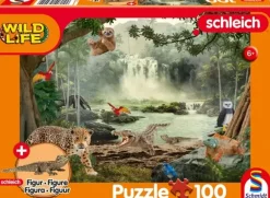 Schmidt : In the Rainforest (100)