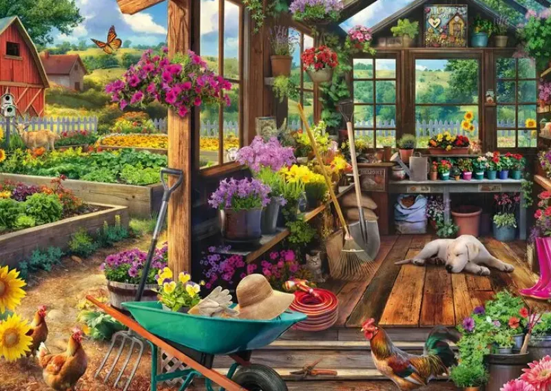 Schmidt : Jeff Haynie - Garden Shed (1000)