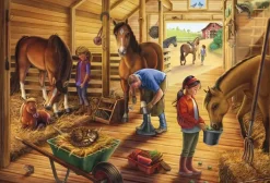 Schmidt : My Favourite Horses (3 x 48)