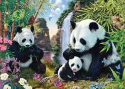 Schmidt : Panda Family at the Waterfall (500)