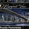 Schmidt : Panorama - Manfred Voss, New York Dark Night (1000)