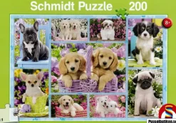 Schmidt : Puppies (200)