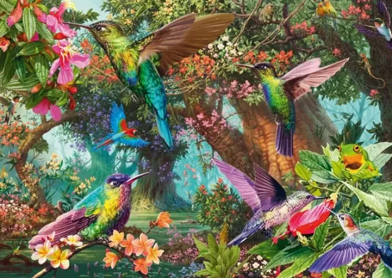 Schmidt : Steve Read - Hummingbirds in a burst of Colour (1000)