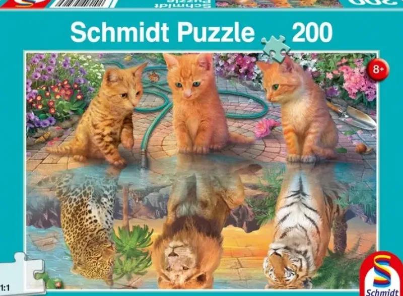 Schmidt : When I Grow Up... (200)