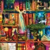 SunsOut : Aimee Stewart - Treasure Hunt Bookshelf (1000)