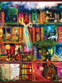 SunsOut : Aimee Stewart - Treasure Hunt Bookshelf (1000)