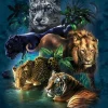 SunsOut : Big Cat Prowess (1000)