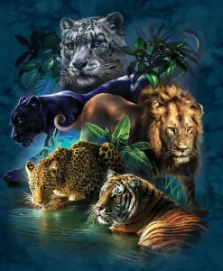 SunsOut : Big Cat Prowess (1000)