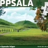 Svenskapussel : Uppsala - Gamla Uppsala Högar (1000)