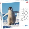 Tactic : Baby penguin (500)