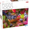 Tactic : Robin in the Autumn Leaves (1000)
