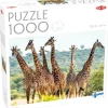 Tactic : Tall Giraffes (1000)