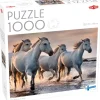 Tactic : White horses on the beach (1000)