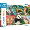 Trefl : Animal Kingdom (1000)