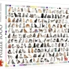 Trefl : 208 Cats (1000)