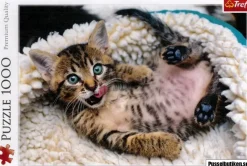 Trefl : Cheerful Kitten (1000)