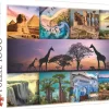 Trefl : Collage, Africa (1000)