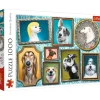 Trefl : Doggies Gallery (1000)