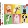 Trefl : Dogs (500)