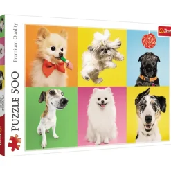 Trefl : Dogs (500)
