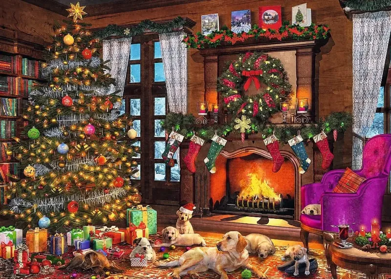 Trefl : Dominic Davison - Christmas is Coming (1000)