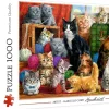 Trefl : Feline Meeting (1000)
