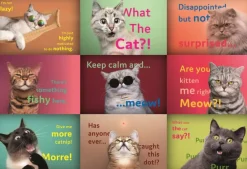 Trefl : Funny Cats Faces (1500)