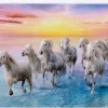 Trefl : Galloping White Horses (500)