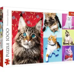 Trefl : Happy Cats (1000)