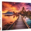 Trefl : Paradise Island (1000)