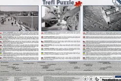Trefl : Paris at Dawn (1000)
