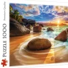 Trefl : Samudra Beach, India (1000)