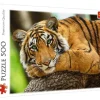 Trefl : Tiger Portrait (500)