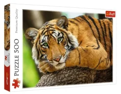 Trefl : Tiger Portrait (500)
