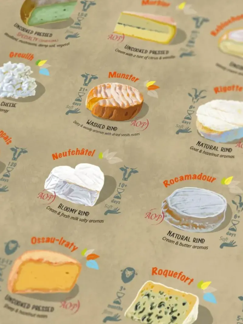 Water & Wines : France - Cheese (1000)
