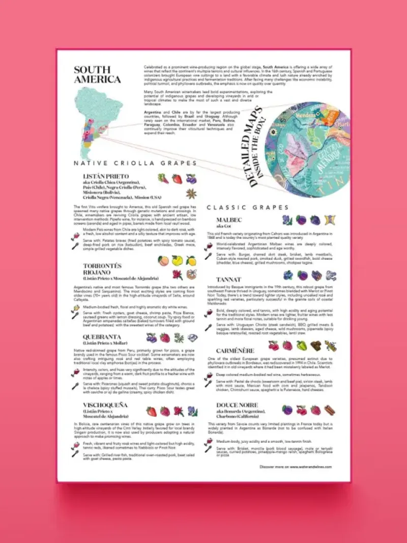 Water & Wines : South America - Wine Puzzle (1000)